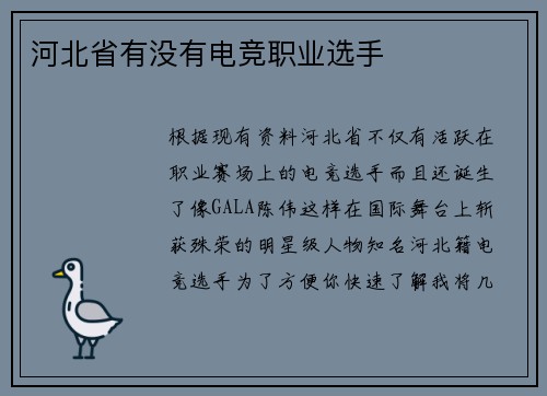 河北省有没有电竞职业选手